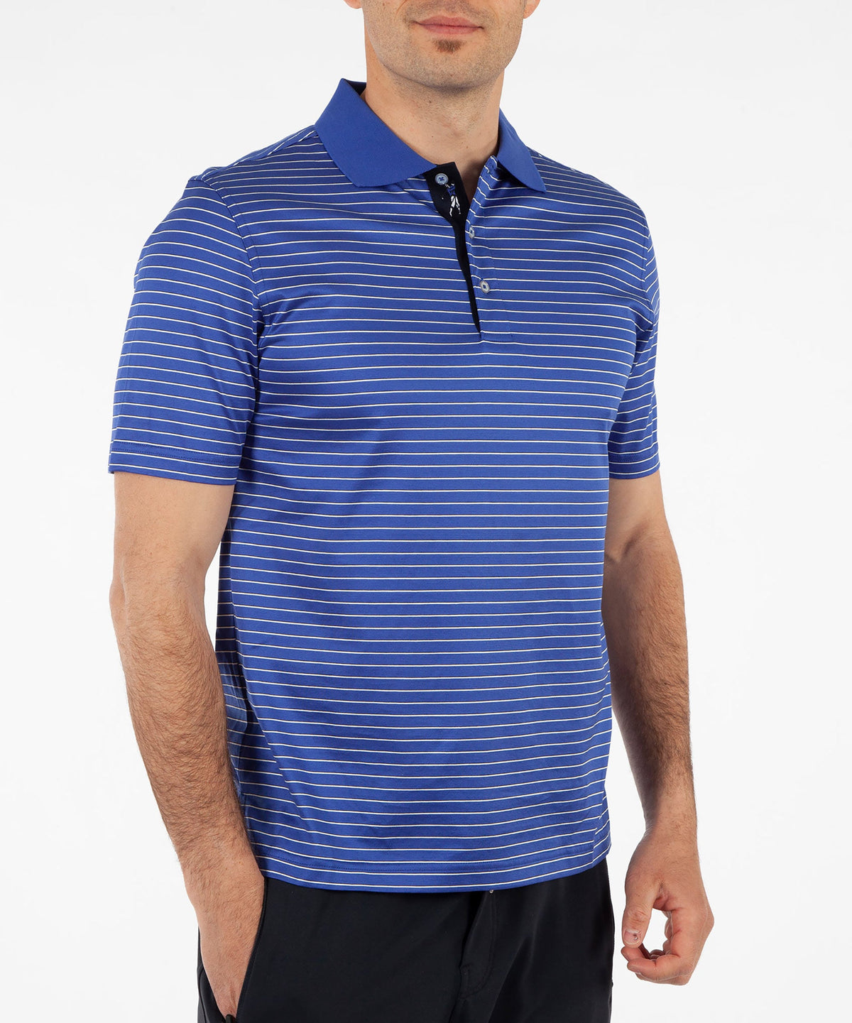 Signature Pisano Stripe 100% Mercerized Cotton Short Sleeve Polo Shirt